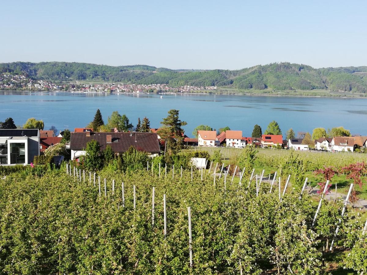 Fewo Segelwind Bodman-Ludwigshafen Esterno foto