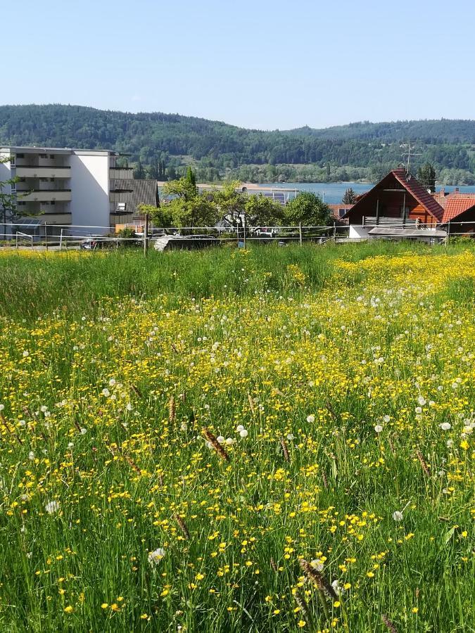Fewo Segelwind Bodman-Ludwigshafen Esterno foto